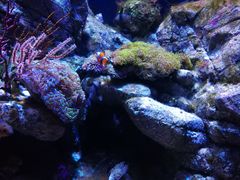 -成都浩海立方海洋公园