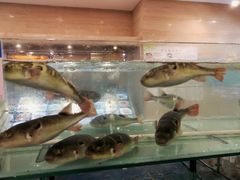 -大方圆酒楼(西门大街店)