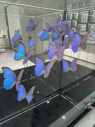 -酷嗒动物文化乐园(cutezoo西溪乐天城店)