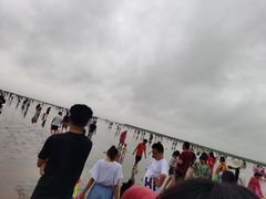 -奉贤海滩