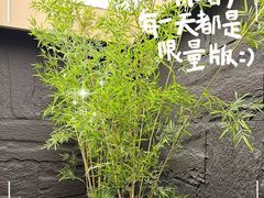 -宫七SPA·高端Massage(浦东大道店)