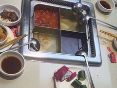 -海底捞火锅(吾悦国际广场店)