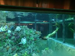 奥威斯酒店-肇庆奥威斯酒店