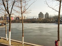 -雁滩公园