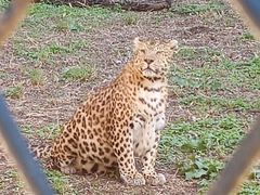 -大连森林动物园