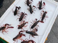 -潜江油焖大虾·小龙虾10年老店(清泉路店)