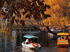 -上海共青森林公园