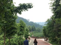 -樱桃山旅游景区