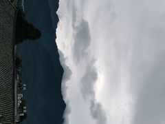 -喵屿·大理花园猫咖