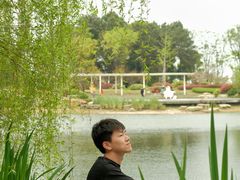 -铁山坪森林公园