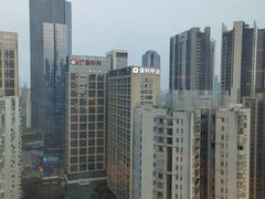 -广州富力丽思卡尔顿酒店