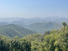 -莫干山风景区
