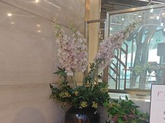 -星悦荟健身游泳(珠江新城店)