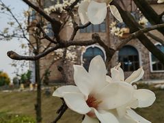 -中国天府农业博览园