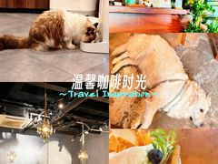 -咖法森林·咖啡  酒吧(天河店)