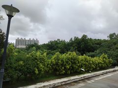 -中山市树木园