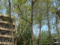 -大连理工大学(凌水校区)