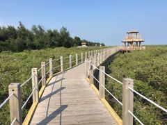 -北海金海湾红树林生态旅游区