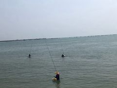 -北海金海湾红树林生态旅游区