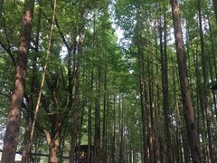 -范蠡湖公园