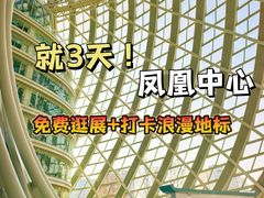 -凤凰中心