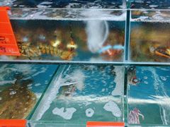 -王大厨·海鲜·家常菜