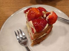 -Wagas沃歌斯(汇智店)