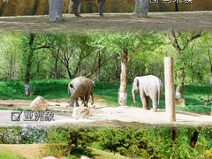 -北京野生动物园