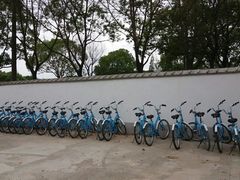 -嘉北郊野公园北游客中心-地上停车场