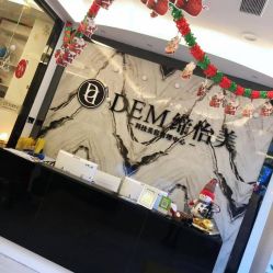 -DEM缔怡美科技美容