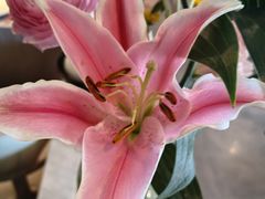 -南堂馆·新川菜(春熙路店)