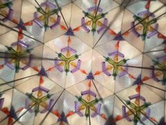 -猫的天空之城概念书店(印象城购物中心店)