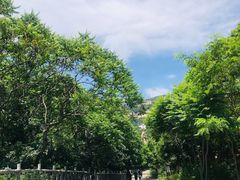 -青岩寺风景区