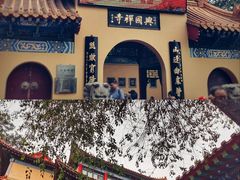 -千佛山风景名胜区