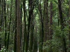 -同里国家湿地公园