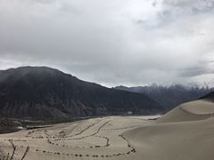 -佛掌沙丘
