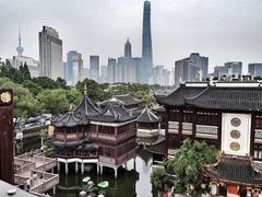 -绿波廊七号(豫园新路店)