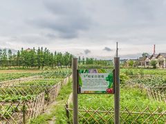 -乌村