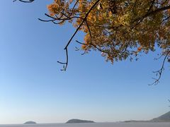 -平湖九龙山旅游度假区