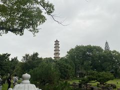 -江心屿景区