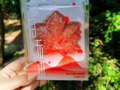 -香山公园