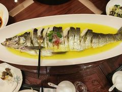 -鲁宴·鲁煨黄河生态大鲤鱼(月坛店)