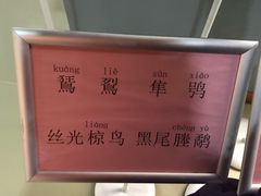 -盐城丹顶鹤湿地生态旅游区