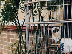 -五悦北平四季涮肉·烧烤(老商埠店)