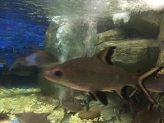 -成都浩海立方海洋公园