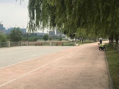 -汉江湾体育公园