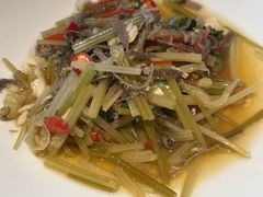-鸽子侯·家宴·平价海鲜(市图书馆店)