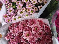 -昆明国际花卉拍卖交易中心