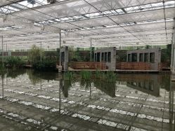 -水八仙生态园