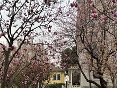 -刘长兴(逸仙桥店)